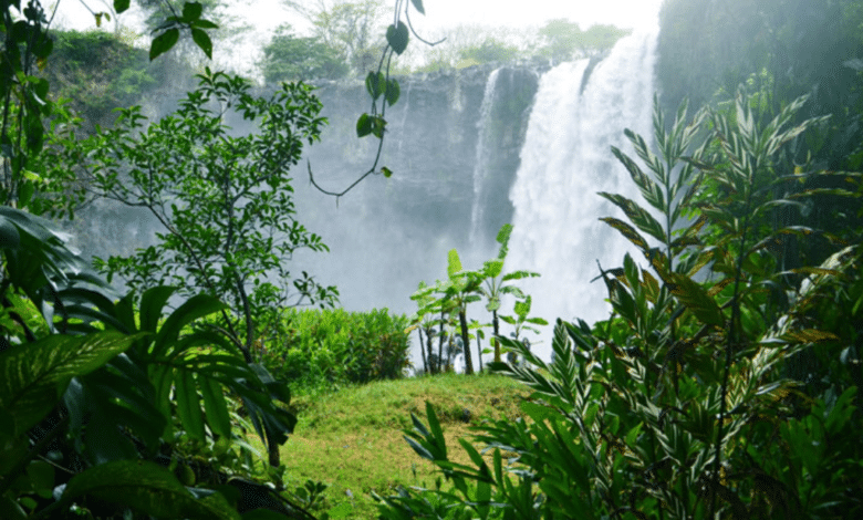 Conoce la cascada de Eyipantla, escenario de leyendas totonacas