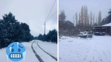 Se registran las primeras nevadas de la temporada invernal en Sonora