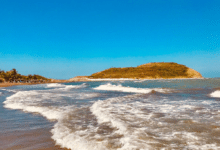 Actividades familiares para fines de semana en Veracruz