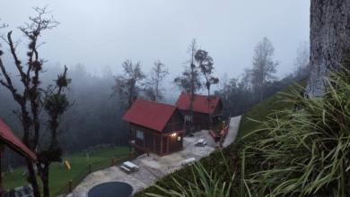 Bajas temperaturas y heladas continuarán en zonas montañosas de Veracruz