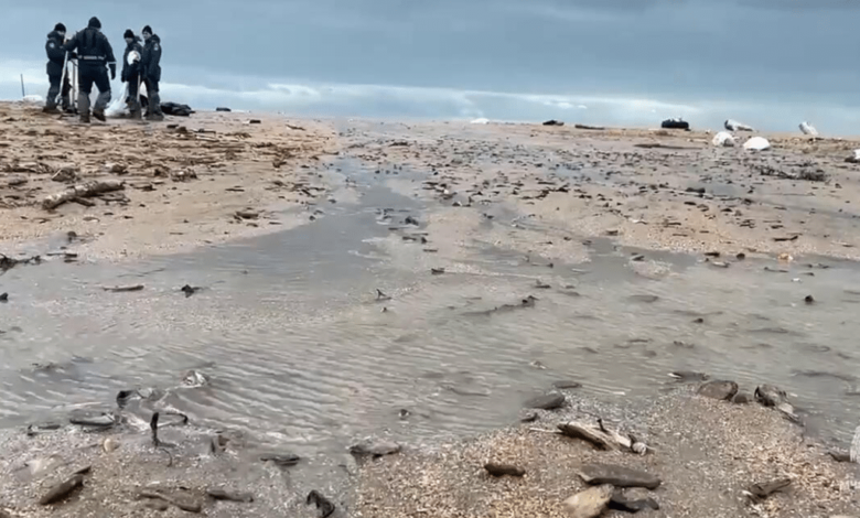 Naufragio de dos petroleros en el Mar Negro contamina 49 kilómetros de costas rusas
