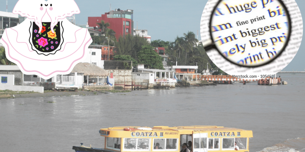 Estas son las palabras típicas que todo jarocho dice y su significado