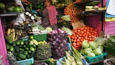 Estudio detecta metal tóxico en alimentos comercializados en CDMX