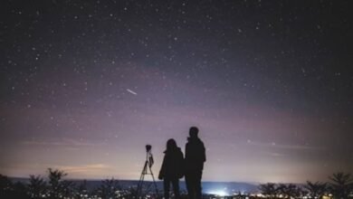 Lluvia de estrellas Úrsidas 2024; ¿cuándo ver el evento astronómico?