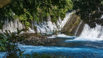Cascadas y ríos más impresionantes de Veracruz