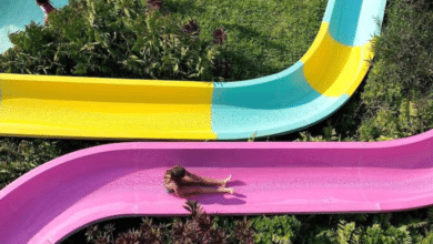 Actividades familiares ideales para el clima de enero en Veracruz