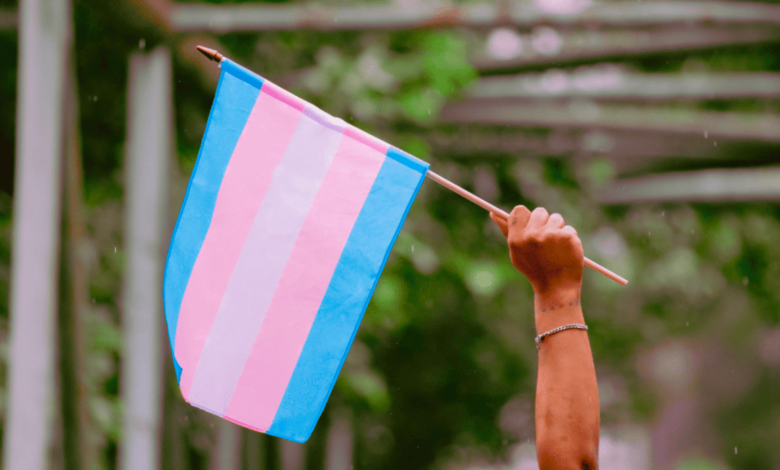 CIDH urge a México a actuar contra la violencia hacia personas trans