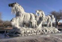 Logra 2025 récord por frío al llegar a -23° en Chihuahua