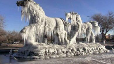 Logra 2025 récord por frío al llegar a -23° en Chihuahua