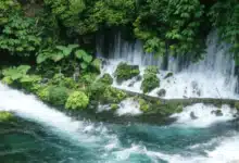 Cascadas escondidas: los mejores sitios para visitar en Veracruz
