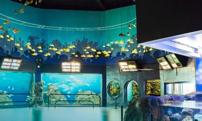 ¿Cuándo se construyó el Acuario de Veracruz?