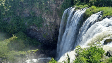 Conoce el salto de Eyipantla, una majestuosa cascada en Los Tuxtlas