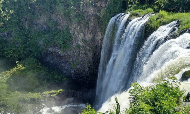 Conoce el salto de Eyipantla, una majestuosa cascada en Los Tuxtlas