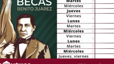 Dan a conocer el calendario de pagos Beca Benito Juárez