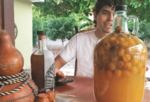 El agua de jobo, una bebida refrescante y poco conocida en Veracruz