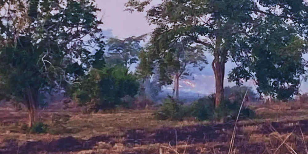 Incendio en Ozuluama arrasa 15 hectáreas de pastizal; Protección Civil evita mayor tragedia