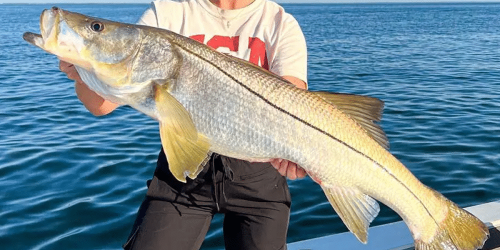 La pesca deportiva en el Golfo de México