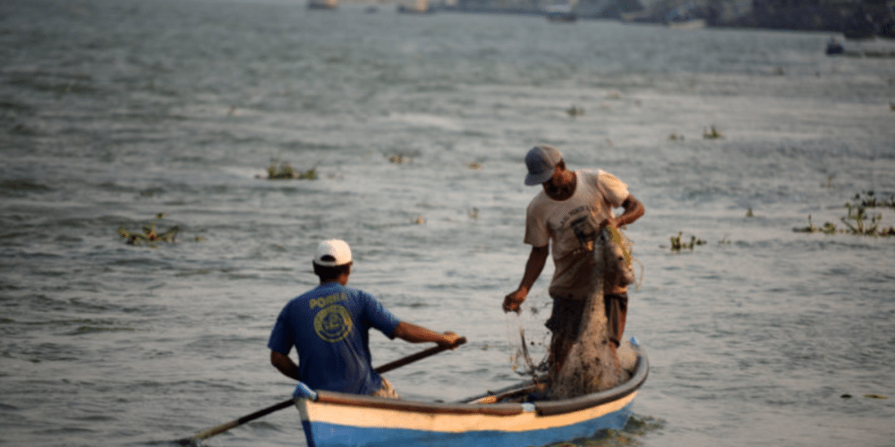 Las sirenas de la laguna de Alvarado, mitos de pescadores