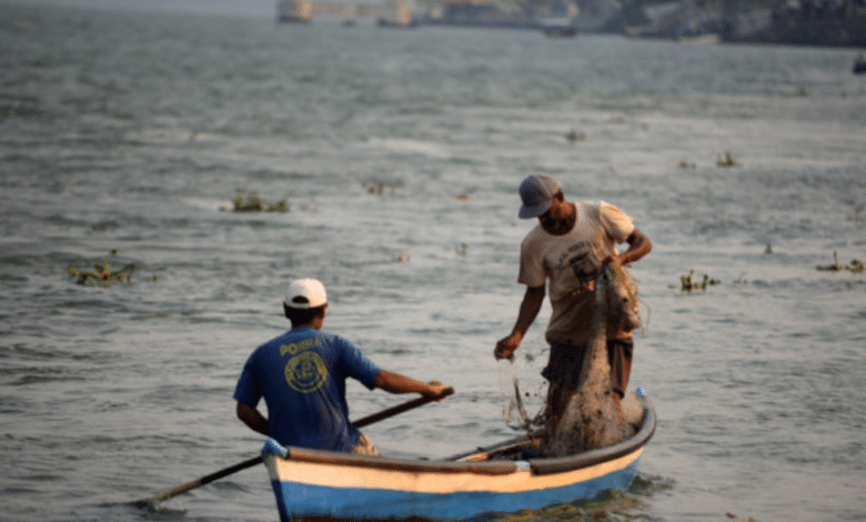 Las sirenas de la laguna de Alvarado, mitos de pescadores