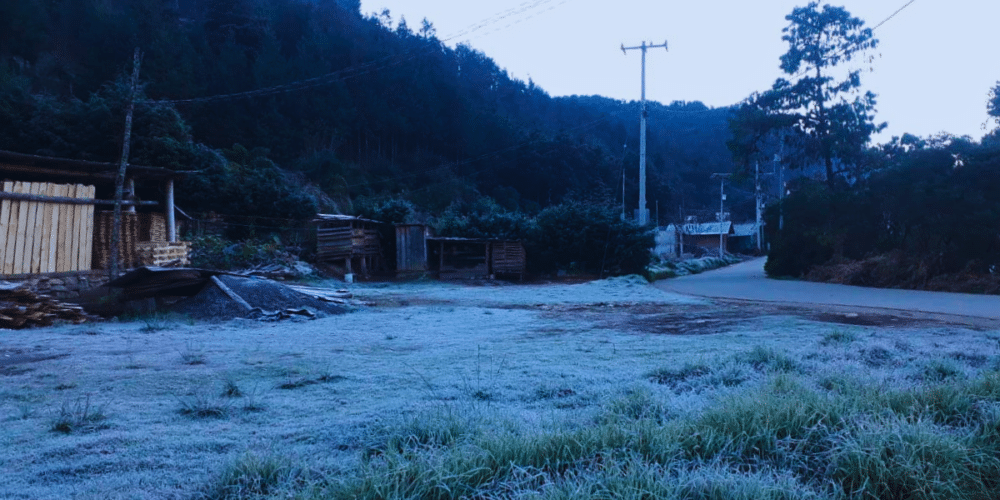 Zalayeta registra la segunda temperatura más baja de la temporada invernal en Veracruz