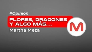 Flores, dragones y algo más…