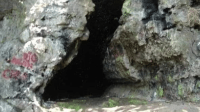 Conoce la cueva del diablo en Naolinco y su ecosistema único