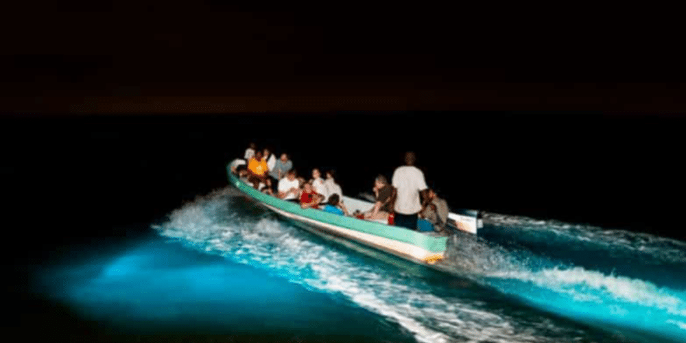 El fenómeno de la Bioluminiscencia en la Laguna de Mandinga
