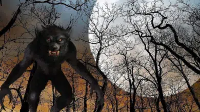 El hombre lobo de Acayucan, una leyenda que aún causa miedo en Veracruz