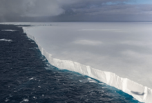 El iceberg más grande del mundo, A23a se detiene frente a Georgia del Sur