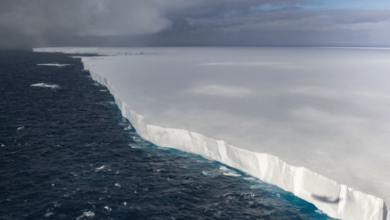 El iceberg más grande del mundo, A23a se detiene frente a Georgia del Sur