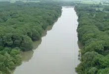 El río Papaloapan y su importancia en la cultura veracruzana