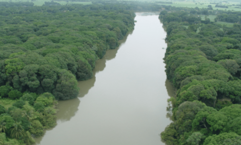 El río Papaloapan y su importancia en la cultura veracruzana