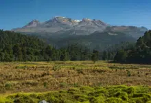 La Reserva de la Biosfera del Pico de Orizaba y su ecosistema único en Veracruz