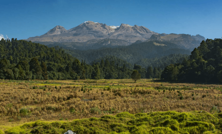 La Reserva de la Biosfera del Pico de Orizaba y su ecosistema único en Veracruz