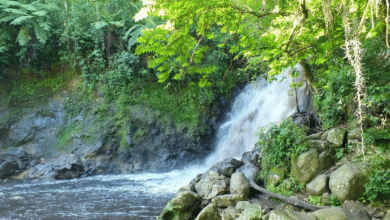 Las cascadas escondidas de Texolo