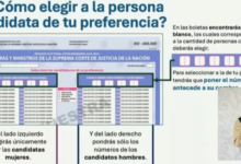 Por colores y seis boletas; así se votará en elección judicial