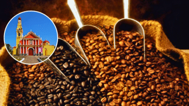 Este pueblo mágico de Veracruz te hará enamorarte del café como nunca antes