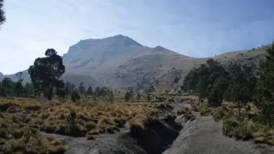 La leyenda de la Malinche en el Cerro de los Ídolos en Veracruz