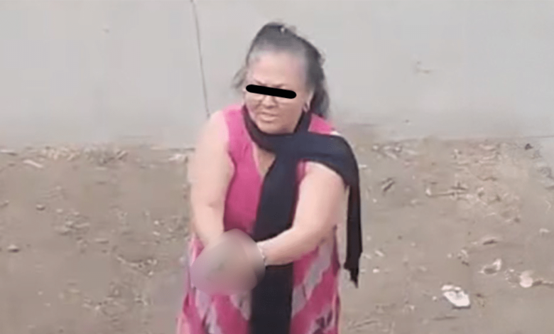 Caso Carlota “N” avanza investigación por polémico despojo en Chalco (Foto captura de pantalla)