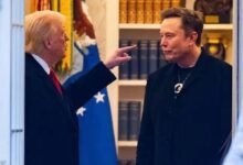 elon vs trump