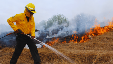 Guardia Estatal combate incendio en El Cielo, Tamaulipas