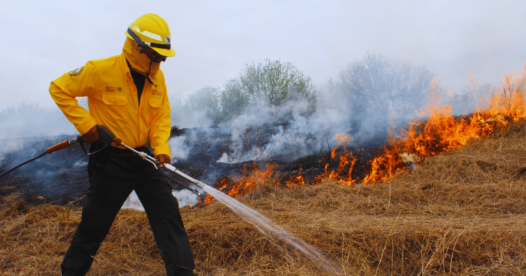 Guardia Estatal combate incendio en El Cielo, Tamaulipas