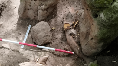 Guatemala revela ciudad maya de 2,800 años con pirámides y figuras ancestrales (Foto por AFP)