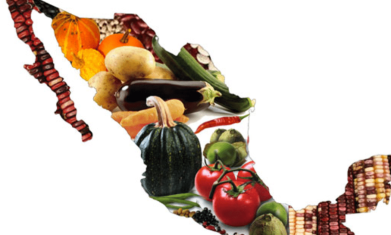 México avanza hacia la autosuficiencia alimentaria Soberanía y políticas públicas para garantizar el futuro (Foto por Líderes Mexicanos)