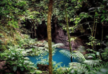 Paraíso Jaguar_ Centro Ecoturístico para Explorar un Cenote en Oaxaca