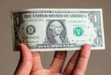 Dólar abre a la baja en 19.33 pesos al mayoreo. (Foto de internet)