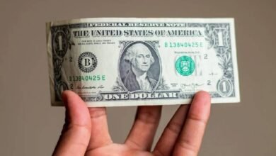 Dólar abre a la baja en 19.33 pesos al mayoreo. (Foto de internet)