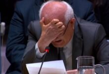 Embajador de Palestina rompe en llanto en Consejo de Seguridad. (Foto de internet)