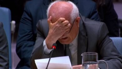 Embajador de Palestina rompe en llanto en Consejo de Seguridad. (Foto de internet)