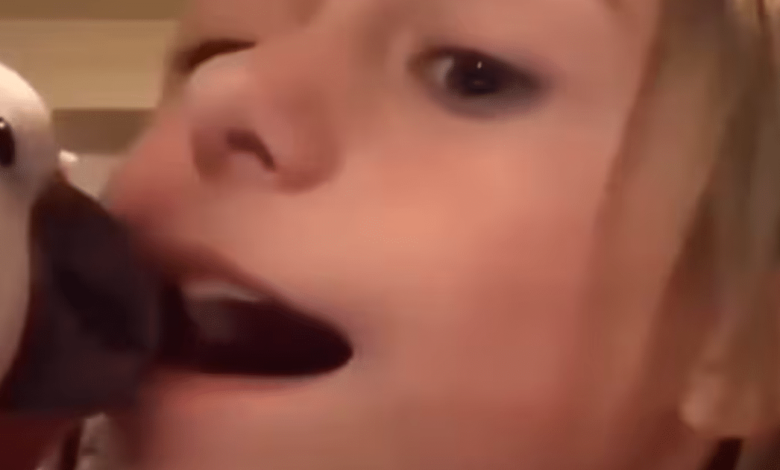 ¡Un loro como odontólogo! El increíble video viral de una niña pidiendo ayuda para sacar su diente
